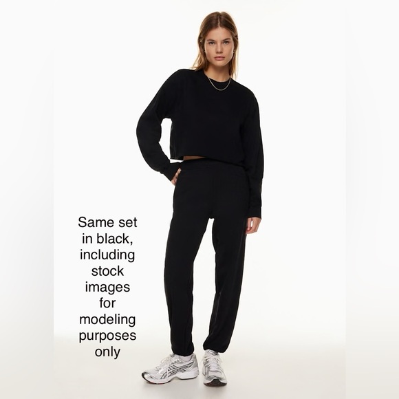 Aritzia TNA Sweatsuit Set - Mullein - Picture 10 of 12